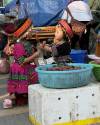 Hmong girls - Sapa